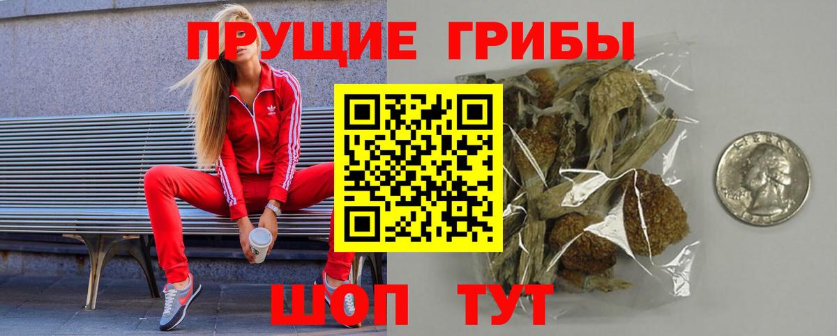 Псилоцибиновые грибы прущие грибы Ухта